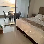 Palmetto Sunset 3204