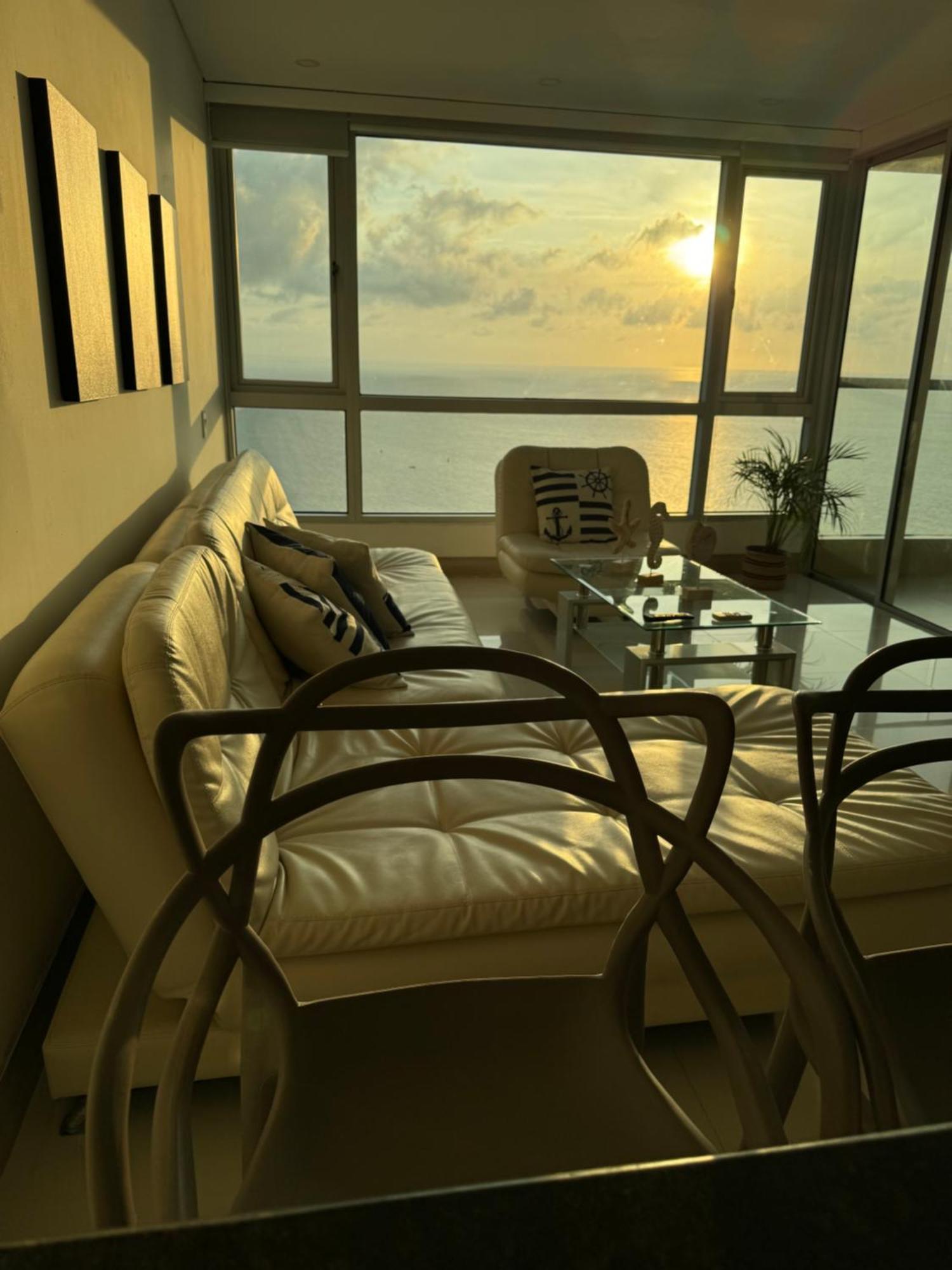 Palmetto Sunset 3204